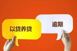 海南区海南区讨债公司服务