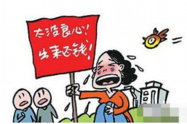 海南区为什么选择专业追讨公司来处理您的债务纠纷？